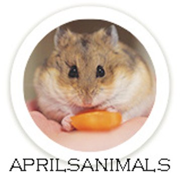 AprilsAnimals