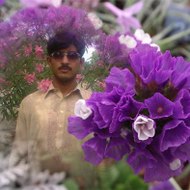 Muhammad Waheed