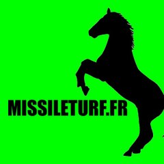 MISSILETURF