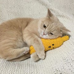 คดตคด.