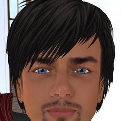 Thedogrealityzone