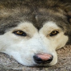 밤*의*전*쟁 수원안마 서면휴게텔 광교 마사지