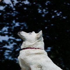 밤*의*전*쟁 부천오피 동탄오피방 청주 오창 키스방