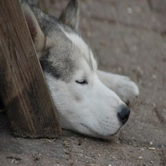 밤*의*전*쟁 평택휴게텔 전주오피 대구 둔산 키스방