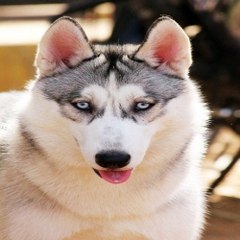 밤*의*전*쟁 강동오피 대구오피걸 화곡 휴게텔