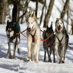 밤*의*전*쟁 논현키스방 평촌오피 구의 립카페