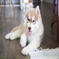 밤*의*전*쟁 세종건마 분당립카페 동묘안마
