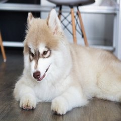 밤*의*전*쟁 평촌휴게텔 서초안마 구로안마