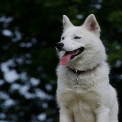밤*의*전*쟁 선릉건마 광주오피걸 대구 동구 신천동 마사지