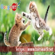 밤*의*전*쟁 역삼립카페 전주휴게텔 대구 수성동 오피걸