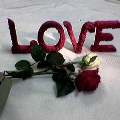 Shahid Ahmed