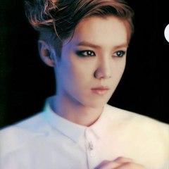 LuhanNie Deer