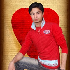 Shehzadmehmood5464