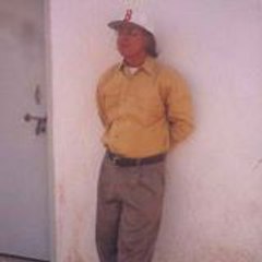 Ali Javaid
