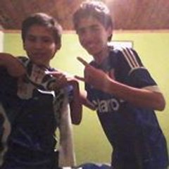 Felipe Troncoso
