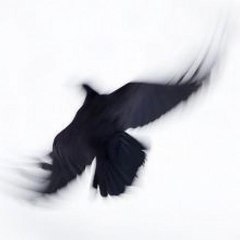 Иван Шнайдер