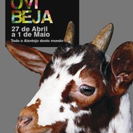 Jeremias Pintassilgo