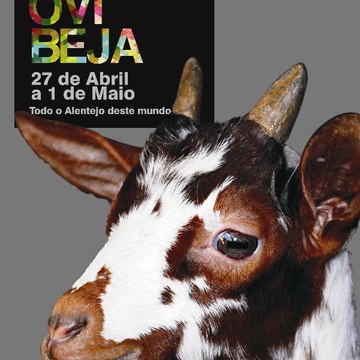 Jeremias Pintassilgo