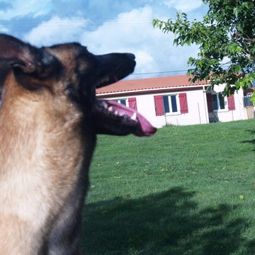 Les derniers centurions