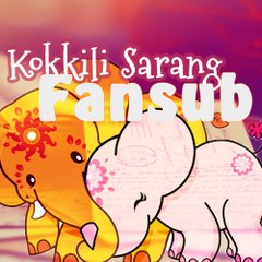 Kokkilisarang