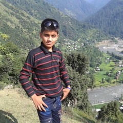 Raja Awais