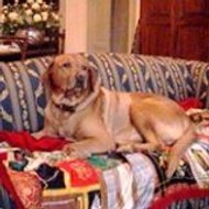 Maria Grazia Nassetti