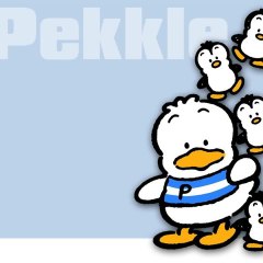 Pekkle.it