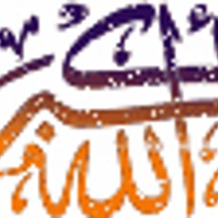 Mast Mujahid