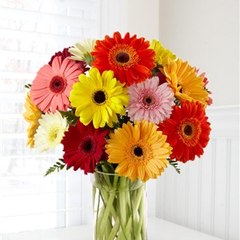 Florariaapahida