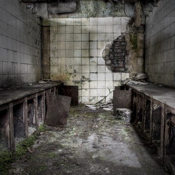 Gary Bores