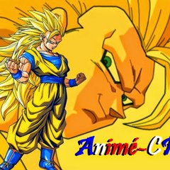Animé-CR