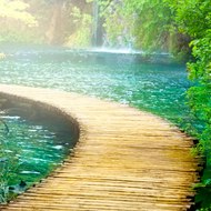 Guilherme Cunningham