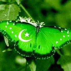 Nadeem ahmed