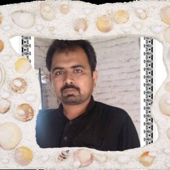 Shahidmurtaza007