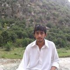 Ghadeer Ali