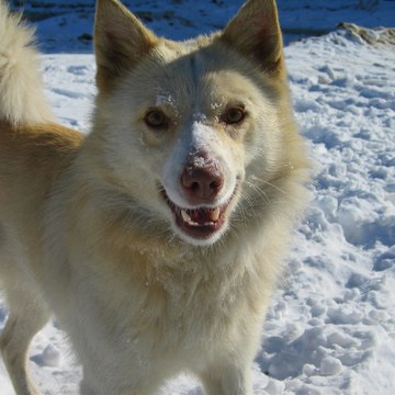 Анастасия Турлаева