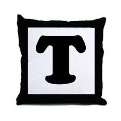 TOP FUN VIDS