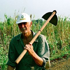 Eustáquio Vaquinha