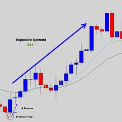 Forex Trading Signals
