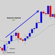 Forex Trading Signals