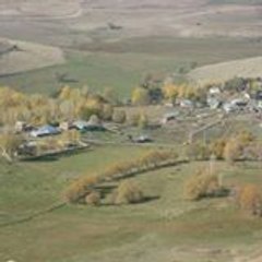 Fahrettin, Ehlibeytin YOLU